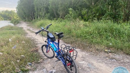 %Mini Velo filename%