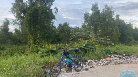 %Mini Velo filename%