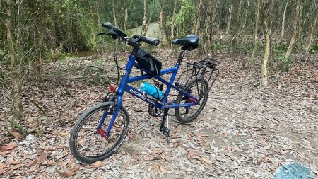 %Mini Velo filename%