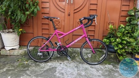 Louis Garneau MV3R màu hồng cánh sen Magenta