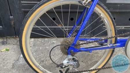 %Mini Velo filename%