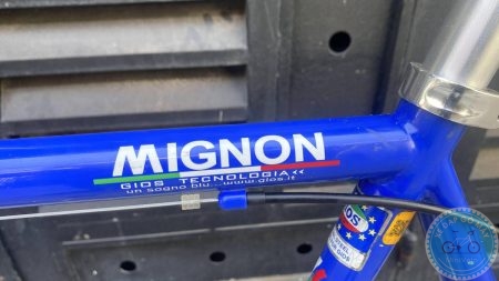 %Mini Velo filename%