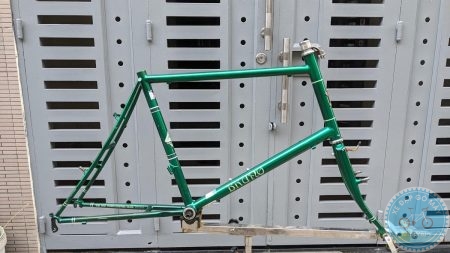 Sườn Bruno Columbus size 46 màu xanh lá cây đậm