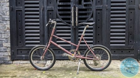 Bruno Mixte màu bã trầu