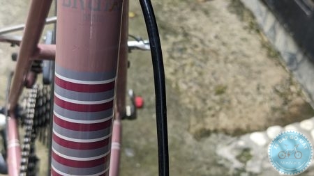 %Mini Velo filename%