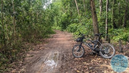 %Mini Velo filename%