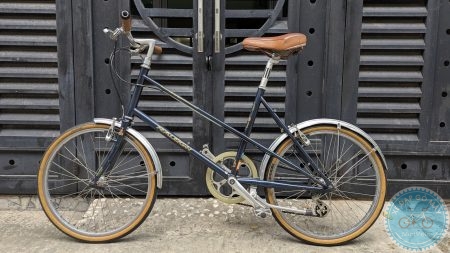 Raleigh RSW Sport Mixte (RSM) xanh