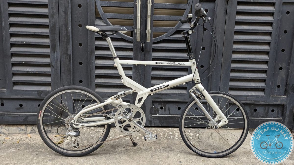 Tartaruga Type SPORT màu trắng
