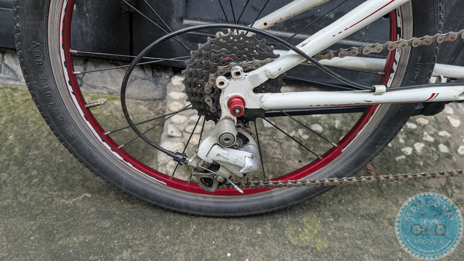 %Mini Velo filename%