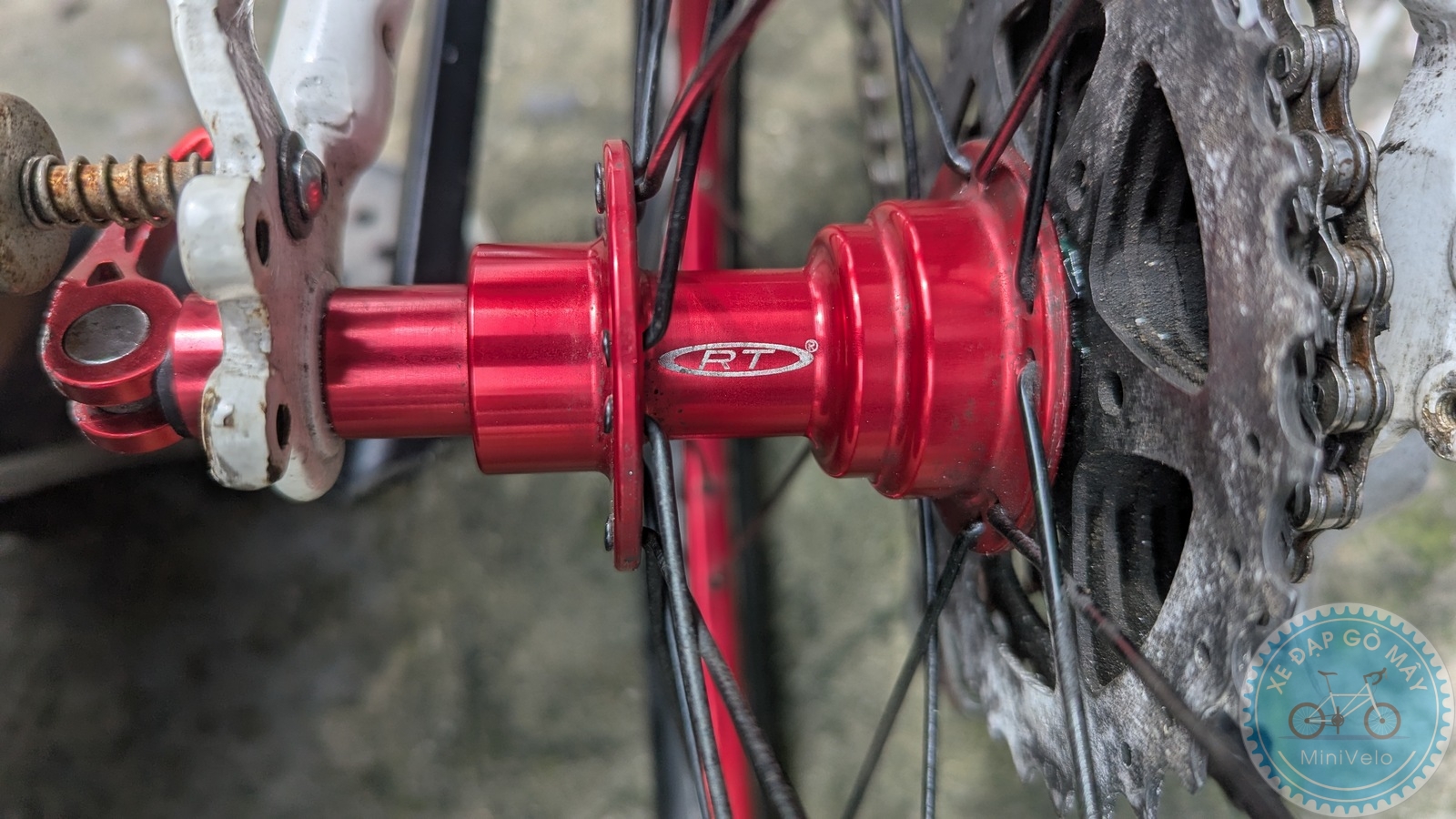 %Mini Velo filename%