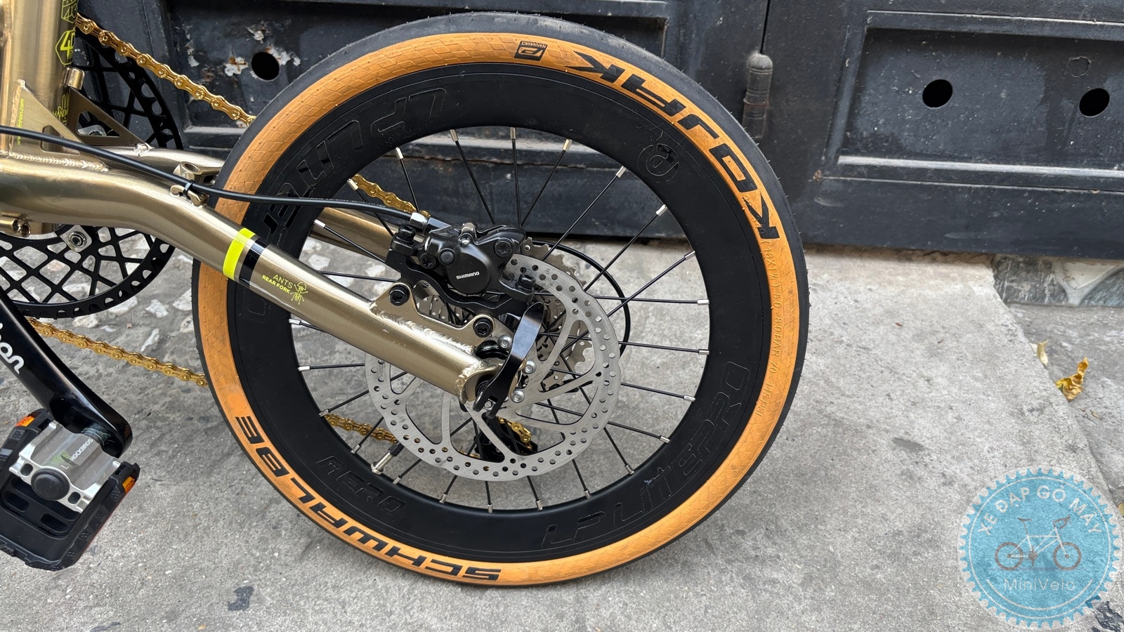 Fnhon Gust 16" màu titan khách đặt làm 12 %Mini Velo filename%