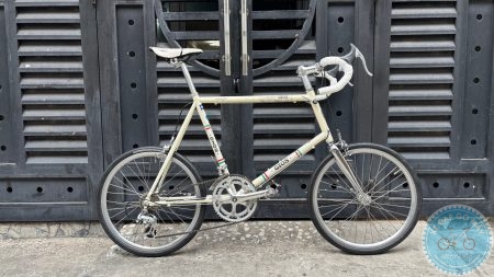 Gios Antico màu trắng size 51