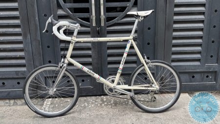 Gios Antico màu trắng size 51