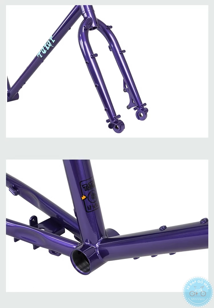 TQIQT Pulse: sườn touring thép 20 inch 13 %Mini Velo filename%
