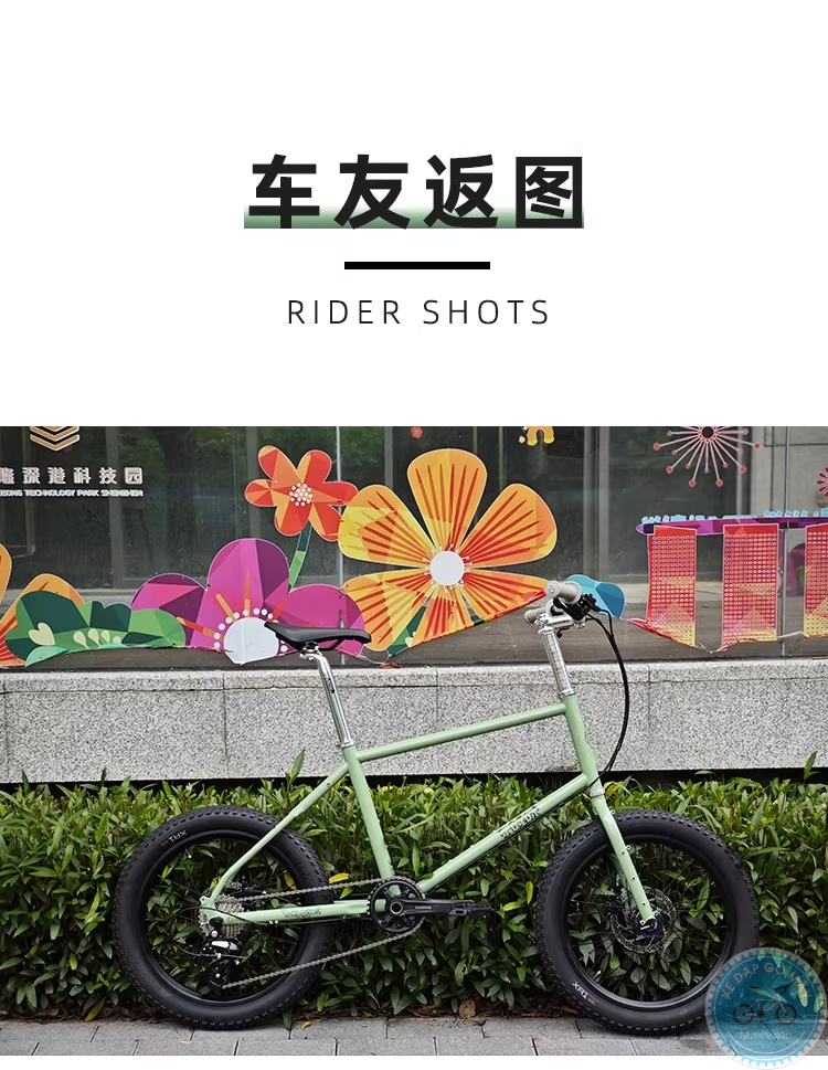 TQIQT Pulse: sườn touring thép 20 inch 24 %Mini Velo filename%