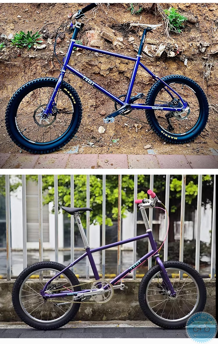 TQIQT Pulse: sườn touring thép 20 inch 25 %Mini Velo filename%