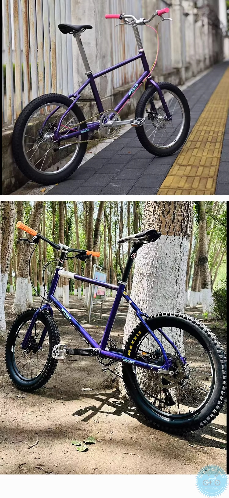 TQIQT Pulse: sườn touring thép 20 inch 26 %Mini Velo filename%