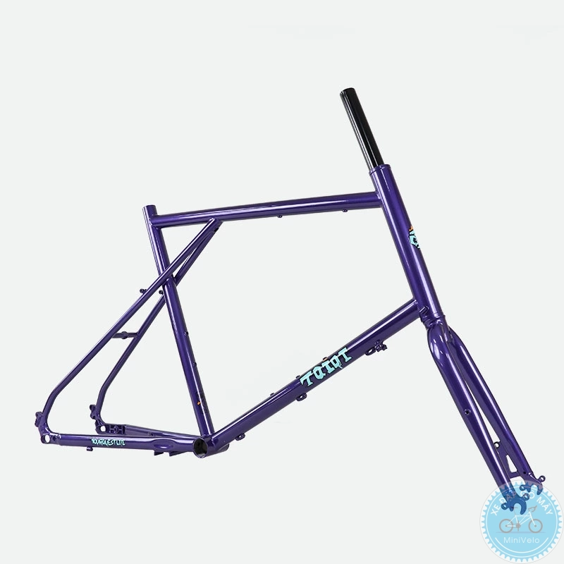 TQIQT Horizon - sườn xe minivelo đa năng 3 Tqiqt horizon