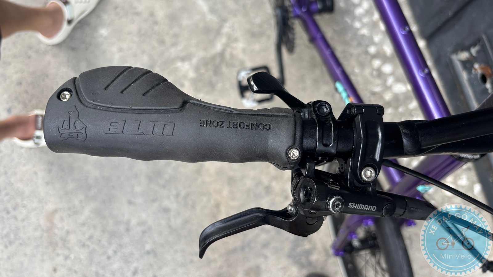 Mini Velo TQIQT Pulse – màu tím đi phố 16 %Mini Velo filename%