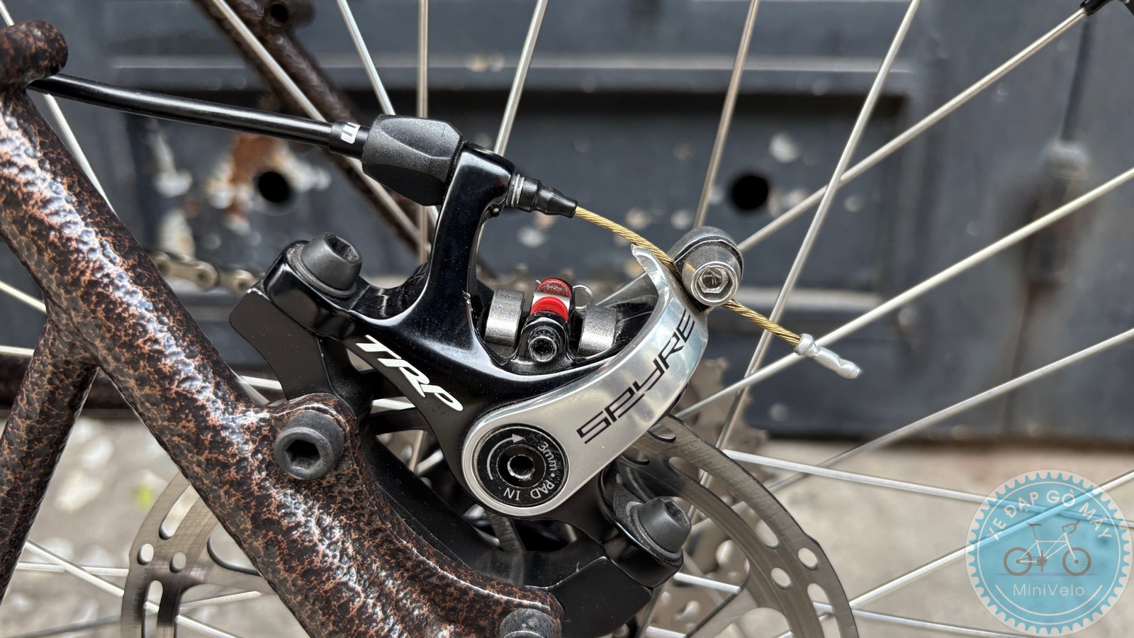 Xe Đạp Custom Star Petite Size M - Group Điện Wheeltop EDS 14 %Mini Velo filename%