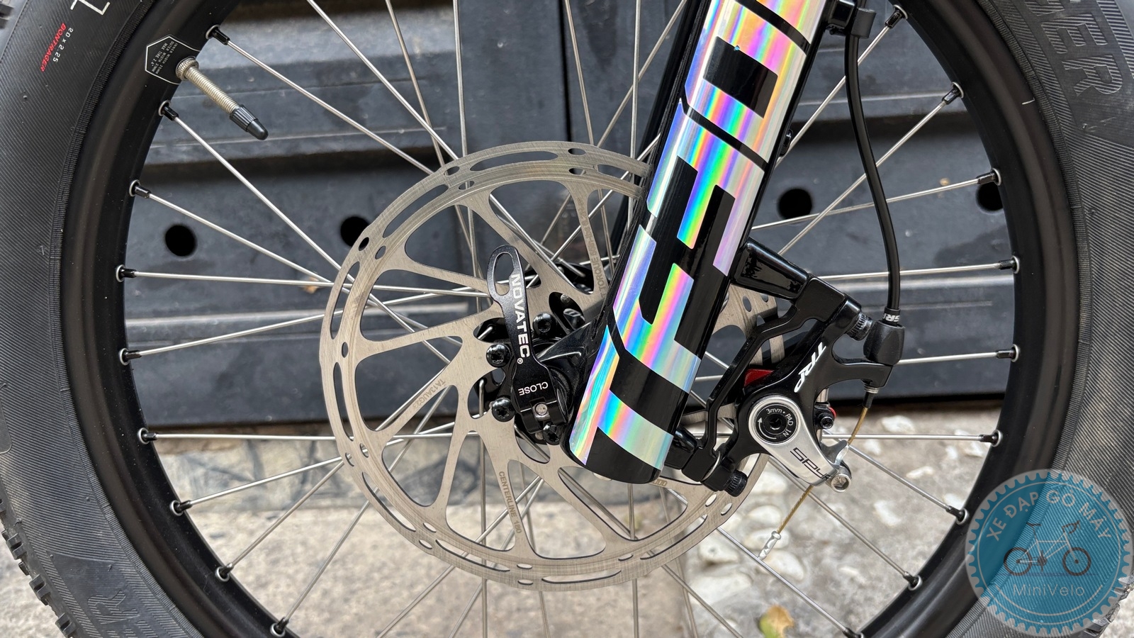 Xe Đạp Custom Star Petite Size M - Group Điện Wheeltop EDS 15 %Mini Velo filename%