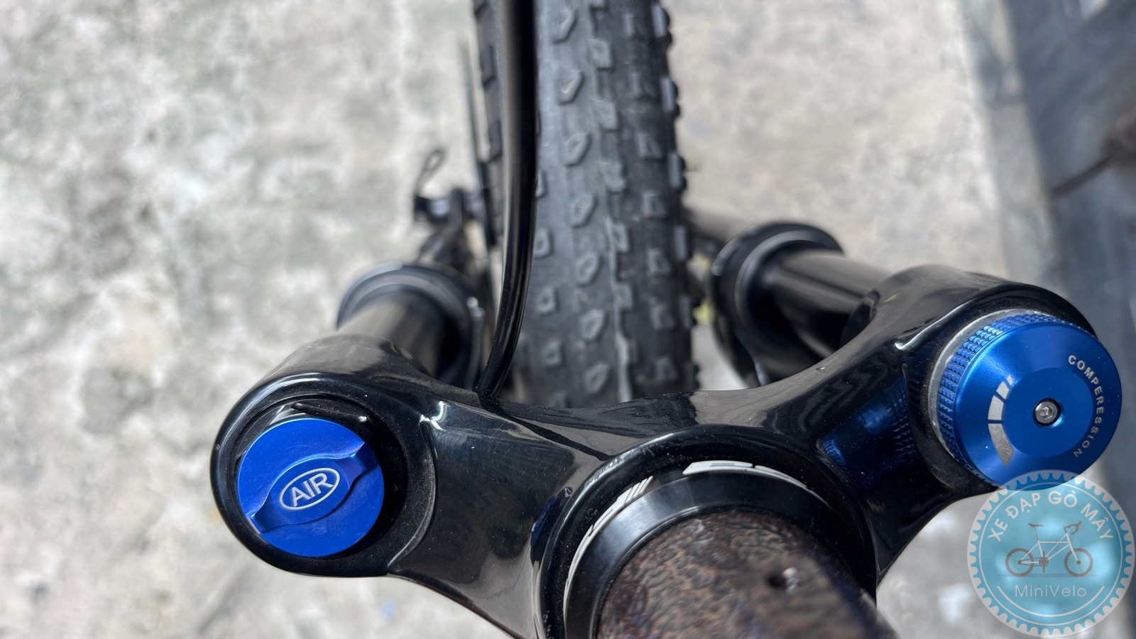 Xe Đạp Custom Star Petite Size M - Group Điện Wheeltop EDS 17 %Mini Velo filename%