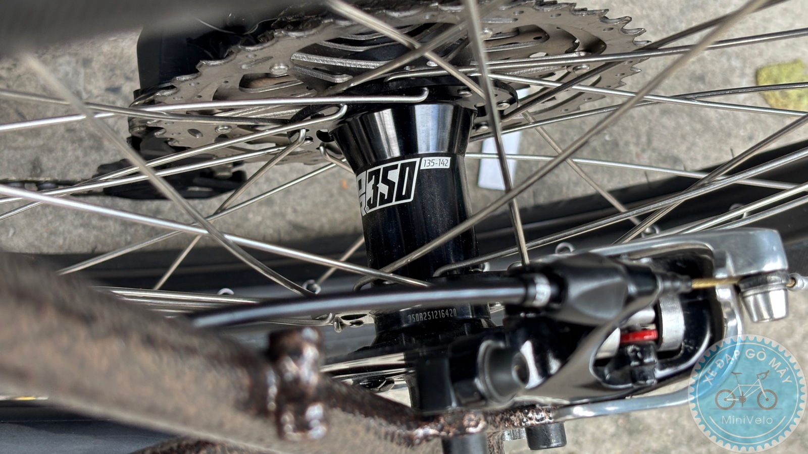 Xe Đạp Custom Star Petite Size M - Group Điện Wheeltop EDS 21 %Mini Velo filename%