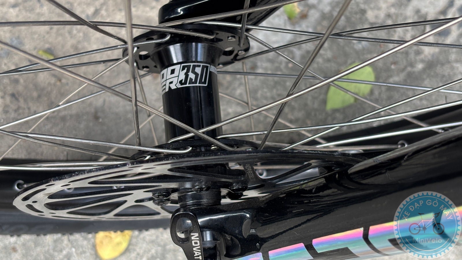 Xe Đạp Custom Star Petite Size M - Group Điện Wheeltop EDS 22 %Mini Velo filename%
