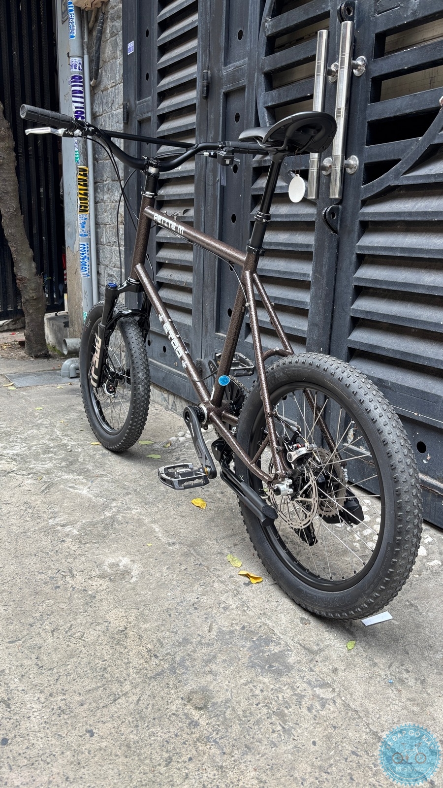 Xe Đạp Custom Star Petite Size M - Group Điện Wheeltop EDS 24 %Mini Velo filename%