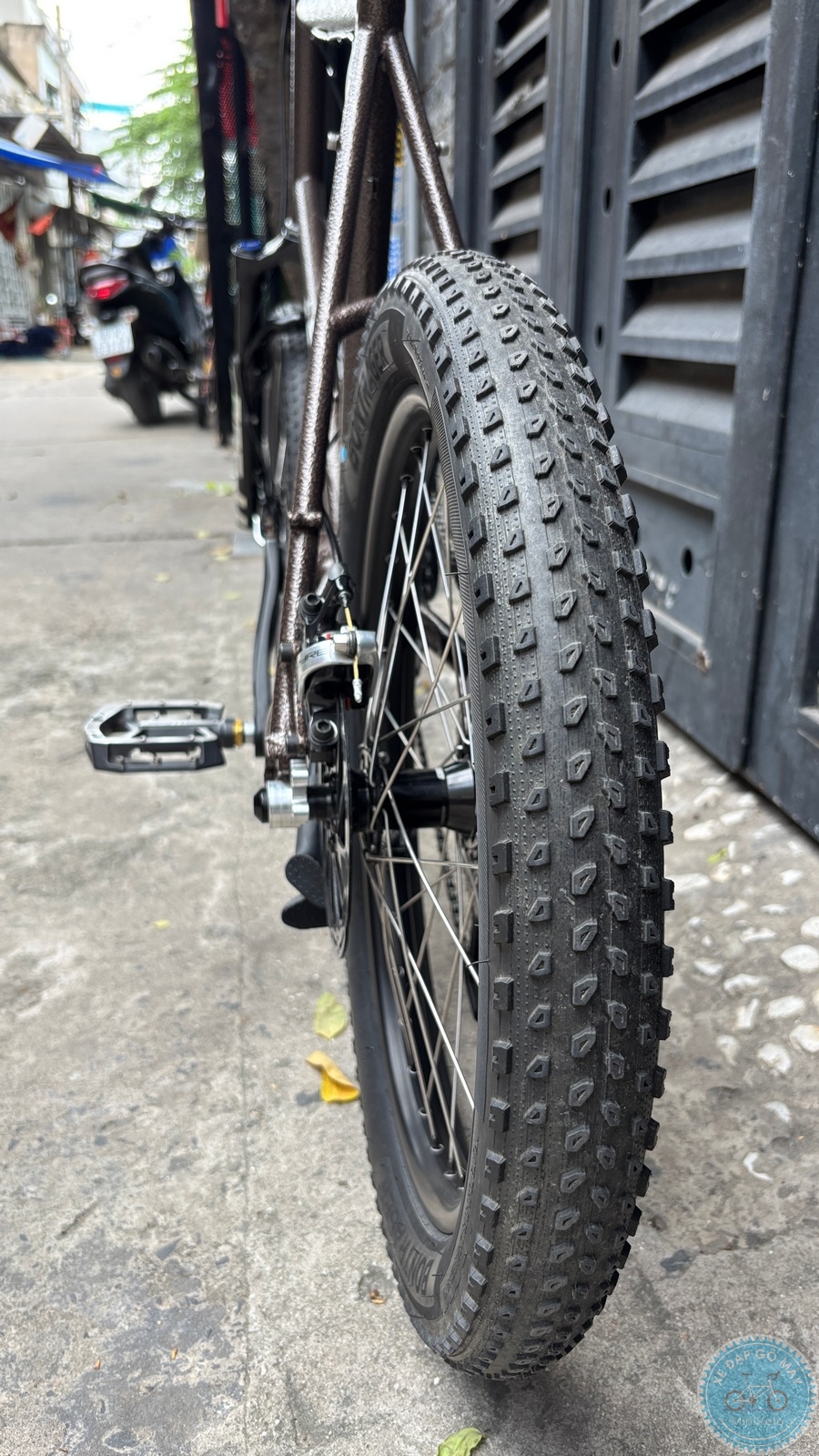 Xe Đạp Custom Star Petite Size M - Group Điện Wheeltop EDS 25 %Mini Velo filename%