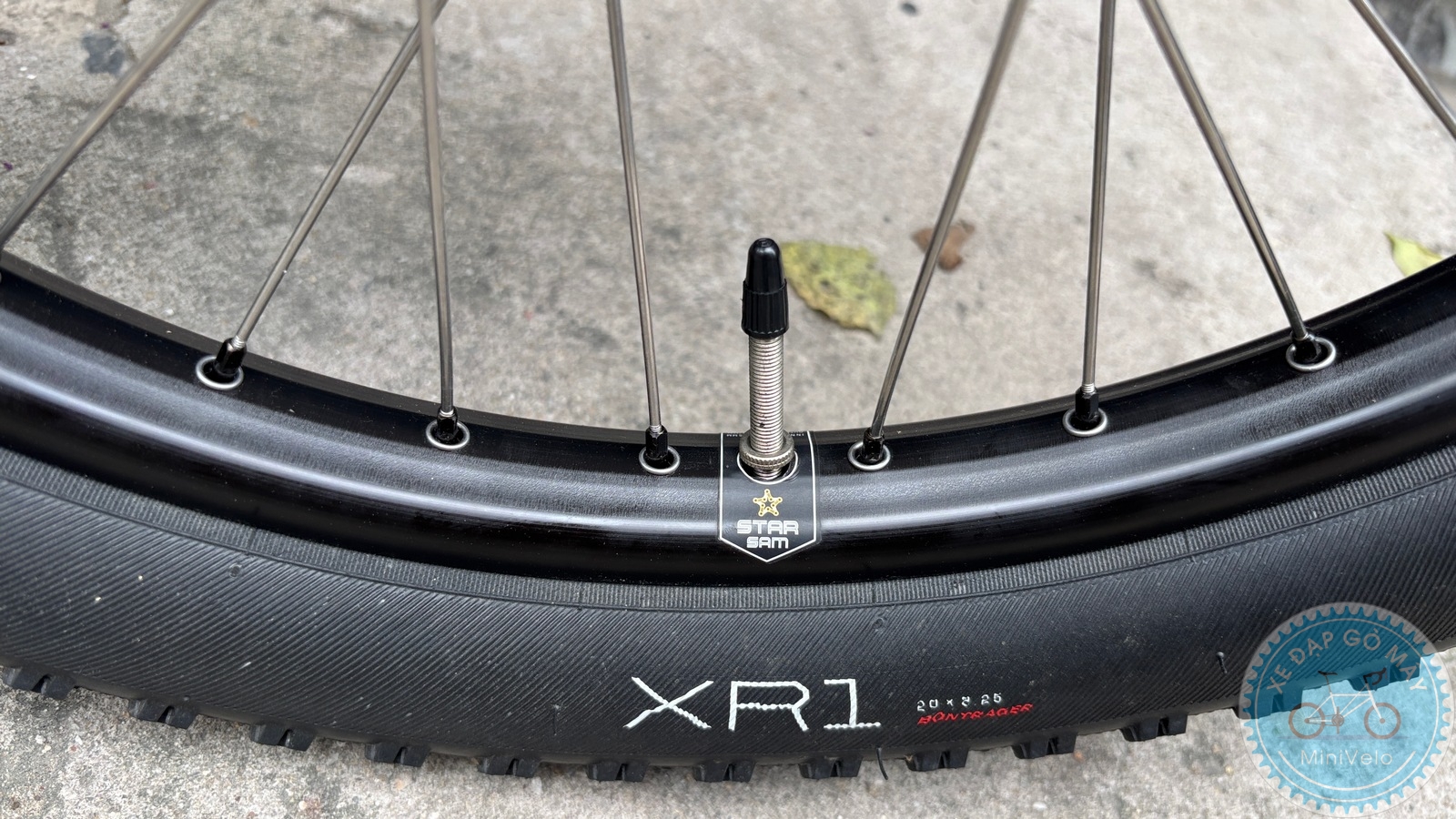Xe Đạp Custom Star Petite Size M - Group Điện Wheeltop EDS 26 %Mini Velo filename%