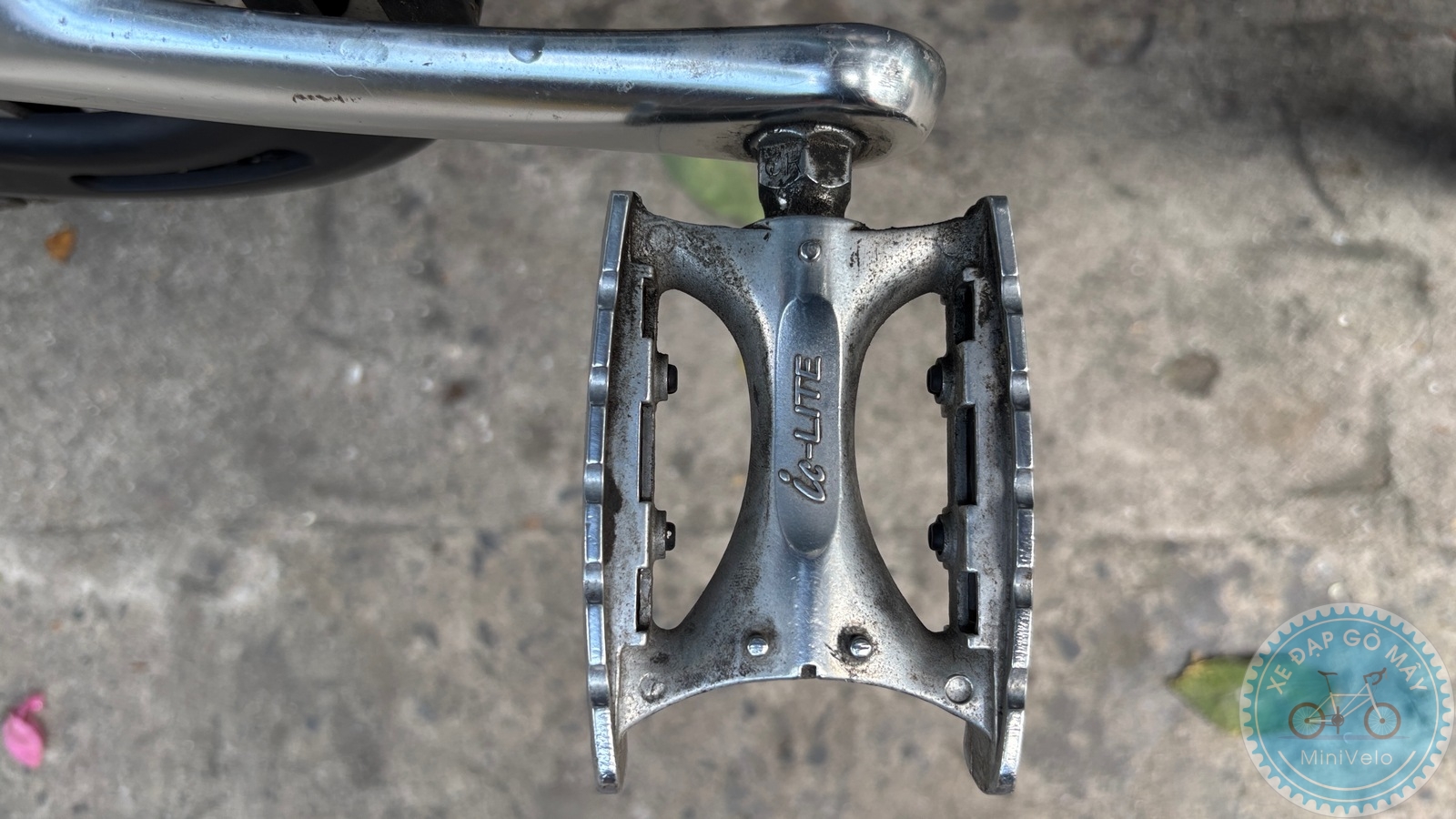 Bianchi Fretta (Birdy Classic) 12 Bianchi Fretta (Birdy Classic) - Ảnh 12