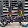 MeloVelo Racer Multicolor – Bản Phối Màu phong cách Harlequin/Color-Block