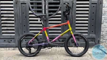 MeloVelo Racer Multicolor – Bản Phối Màu phong cách Harlequin/Color-Block