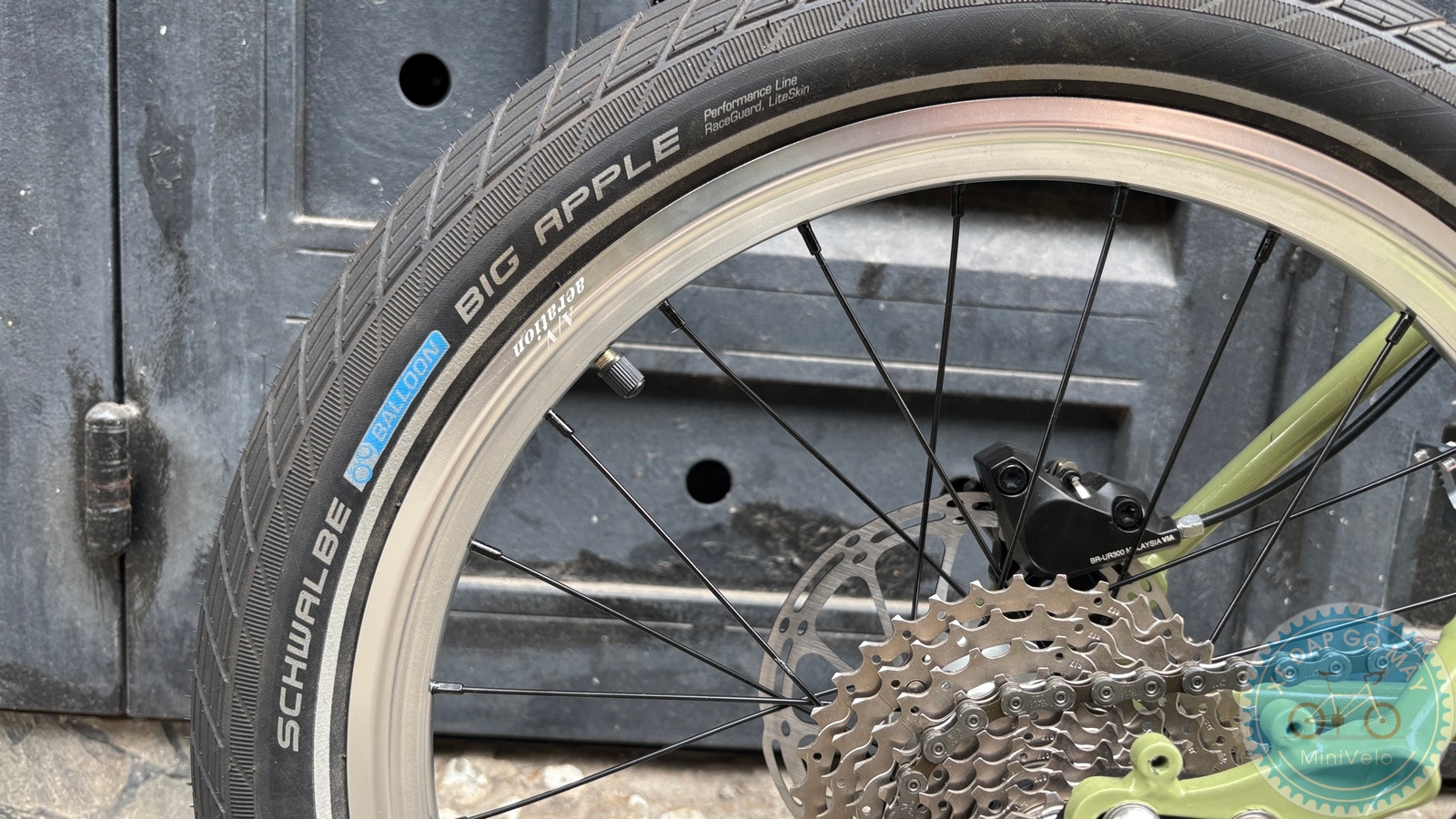 Star Dragon size S - build phố nhẹ nhàng 6 %Mini Velo filename%