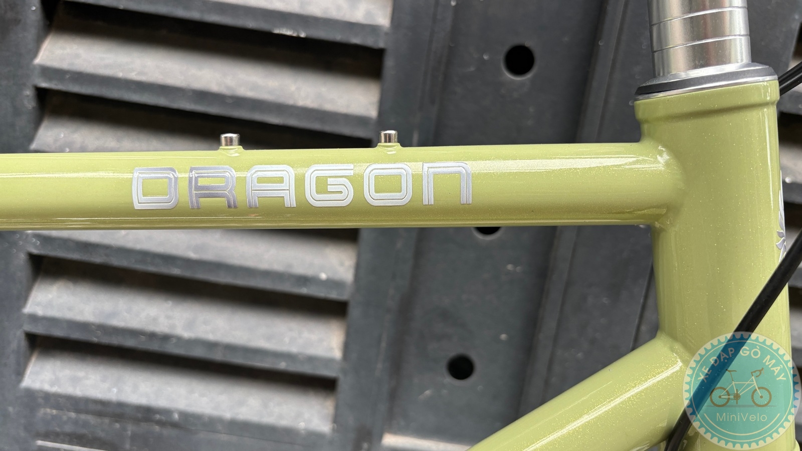 Star Dragon size S - build phố nhẹ nhàng 8 %Mini Velo filename%