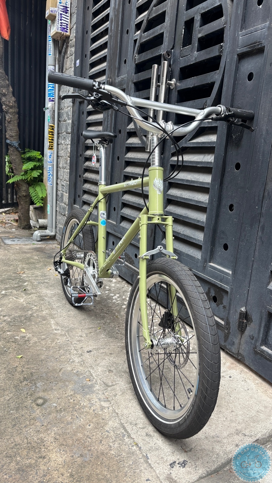 Star Dragon size S - build phố nhẹ nhàng 13 %Mini Velo filename%
