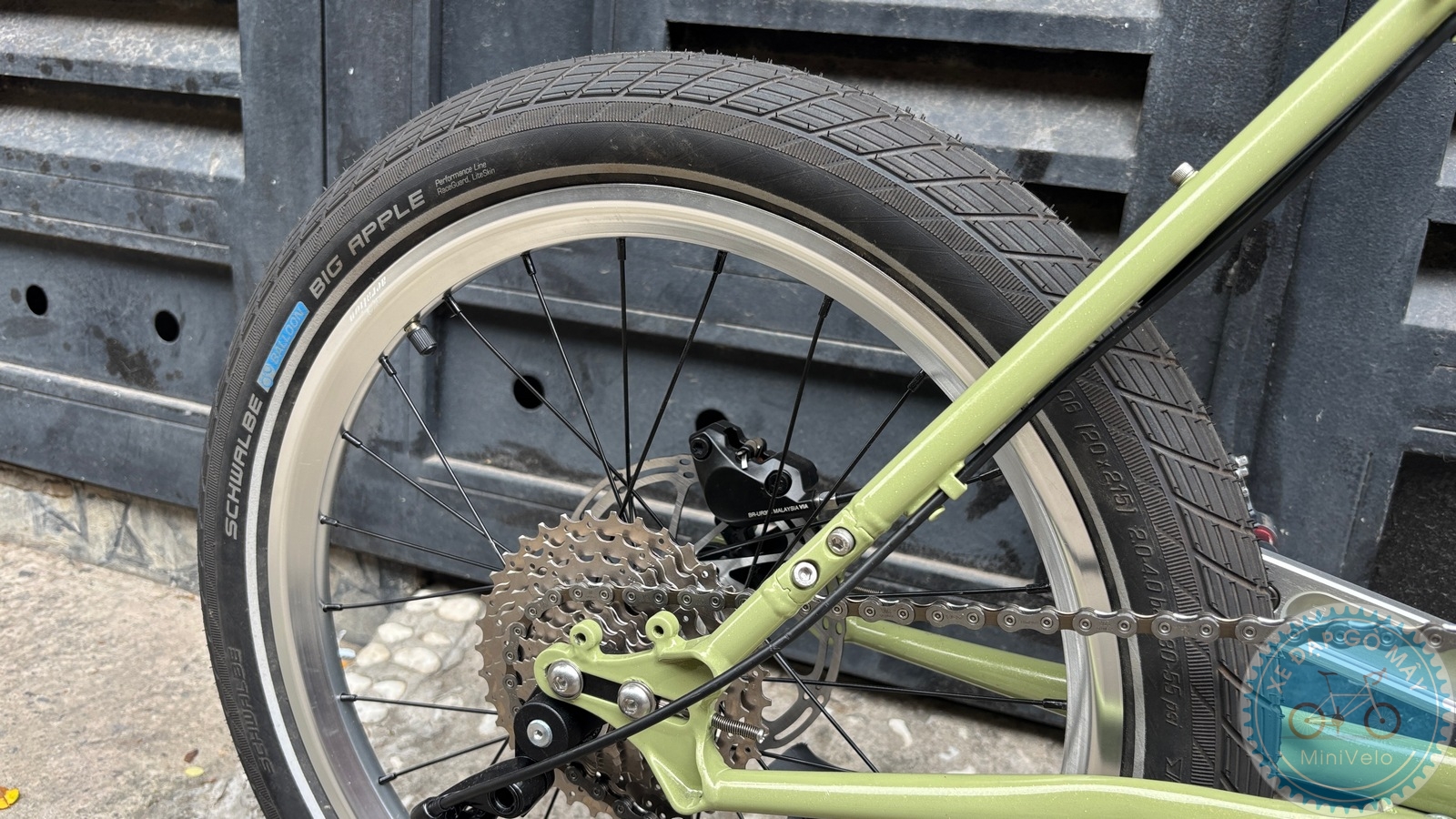 Star Dragon size S - build phố nhẹ nhàng 14 %Mini Velo filename%