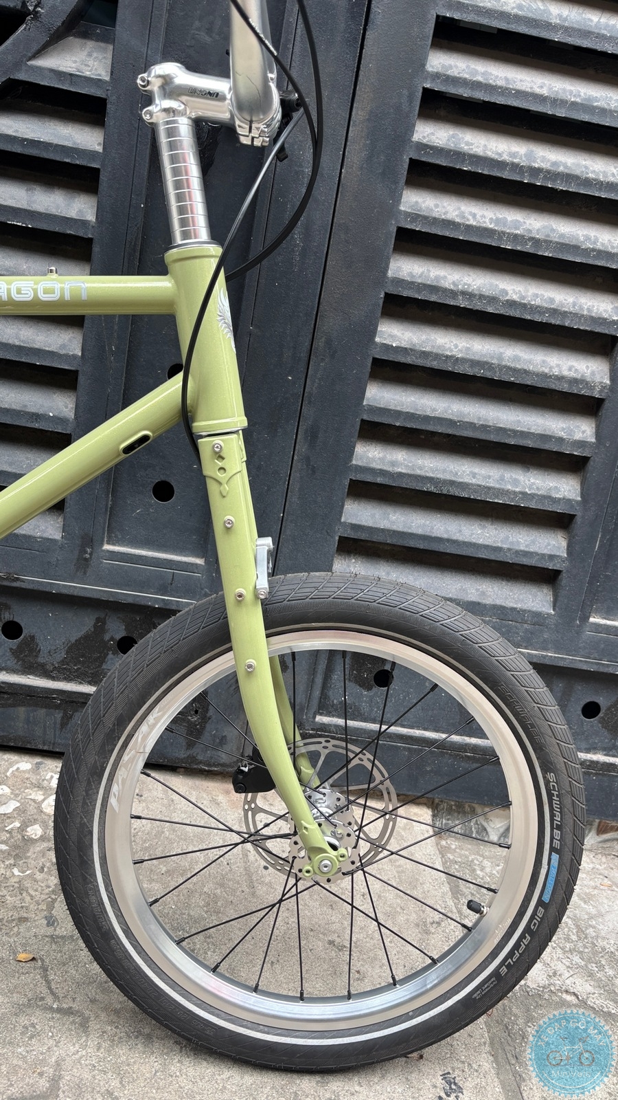 Star Dragon size S - build phố nhẹ nhàng 18 %Mini Velo filename%