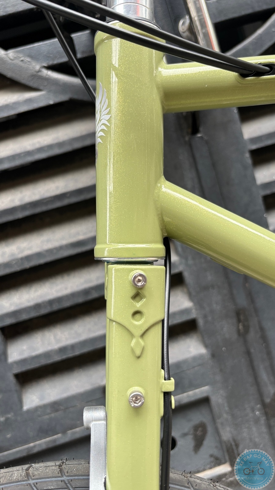 Star Dragon size S - build phố nhẹ nhàng 22 %Mini Velo filename%