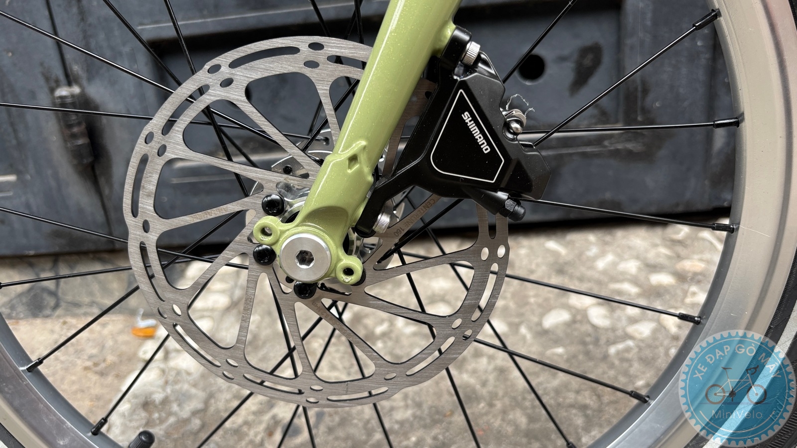 Star Dragon size S - build phố nhẹ nhàng 23 %Mini Velo filename%