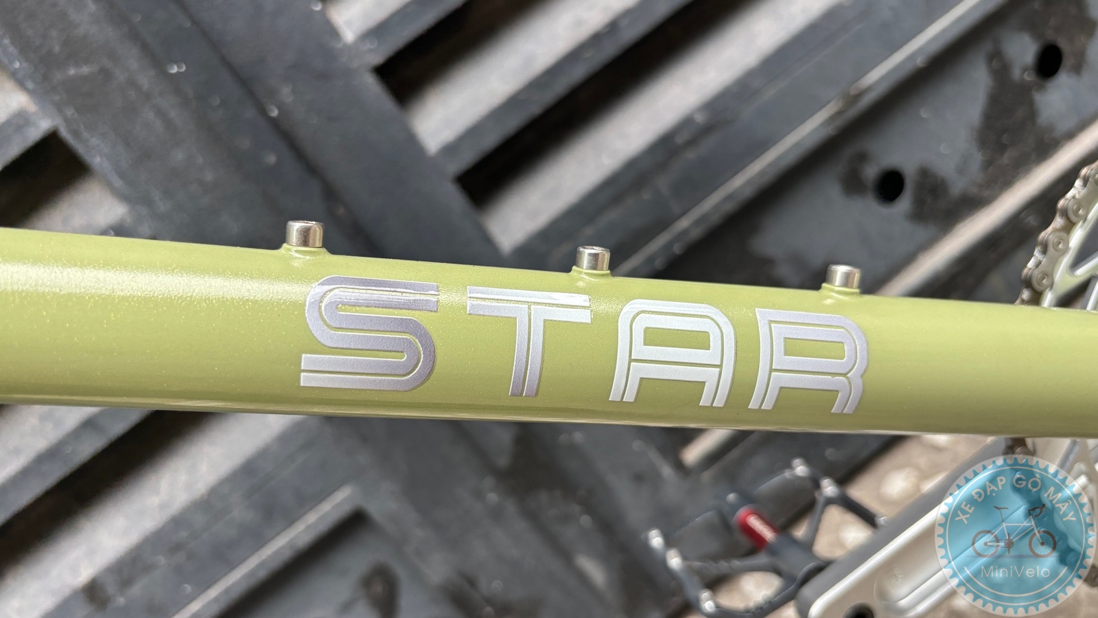 Star Dragon size S - build phố nhẹ nhàng 24 %Mini Velo filename%