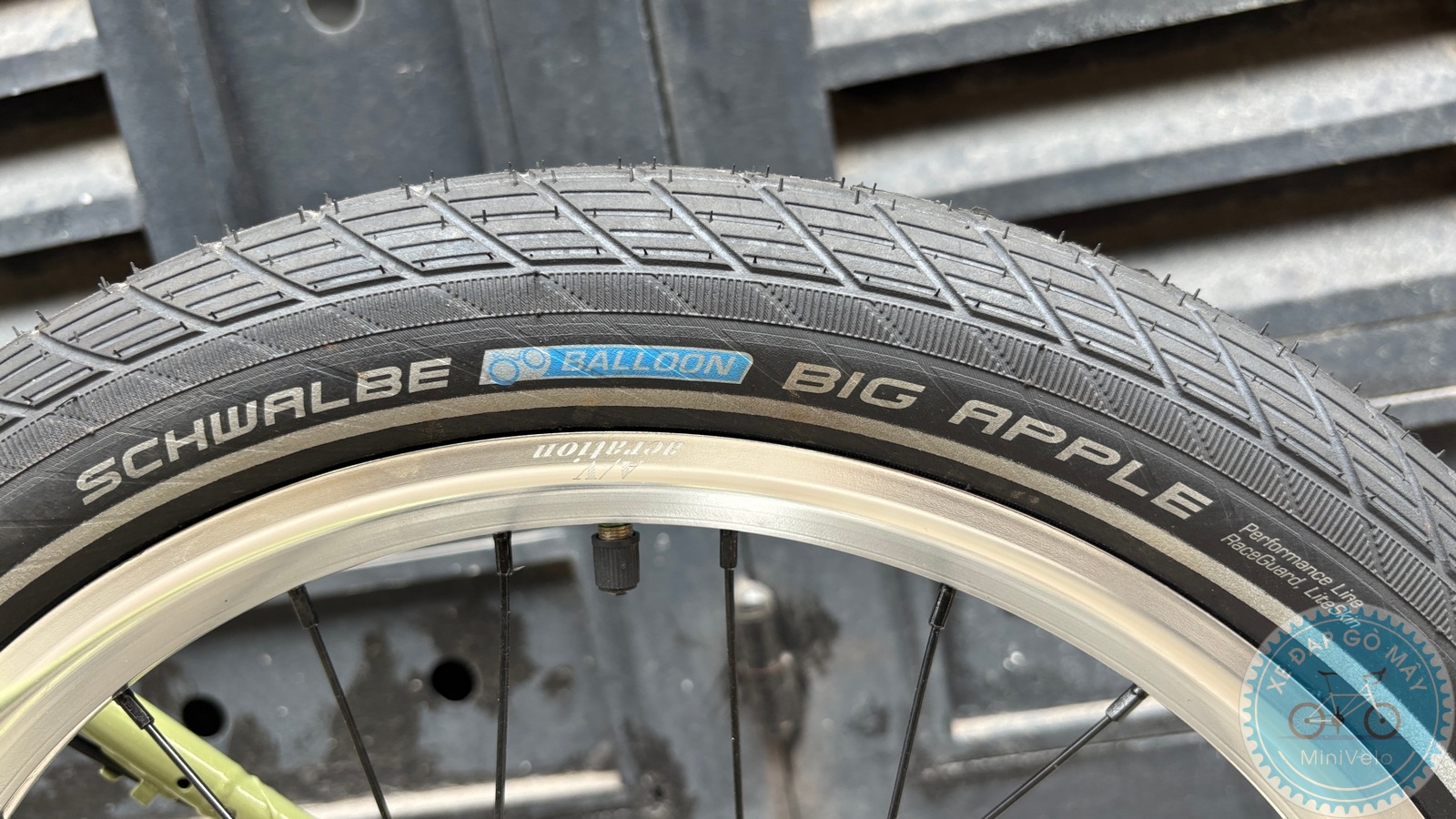 Star Dragon size S - build phố nhẹ nhàng 27 %Mini Velo filename%