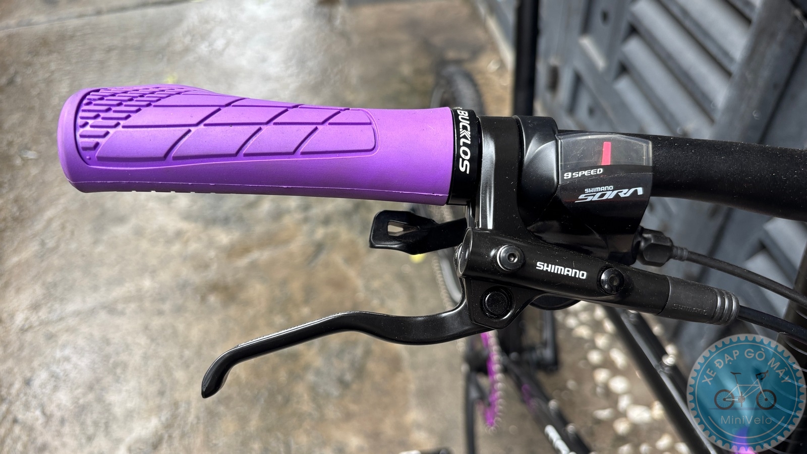 MeloVelo Racer đen build tím 8 %Mini Velo filename%
